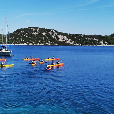 Apartment Dalmatinac Ivo Polače Εξωτερικό φωτογραφία