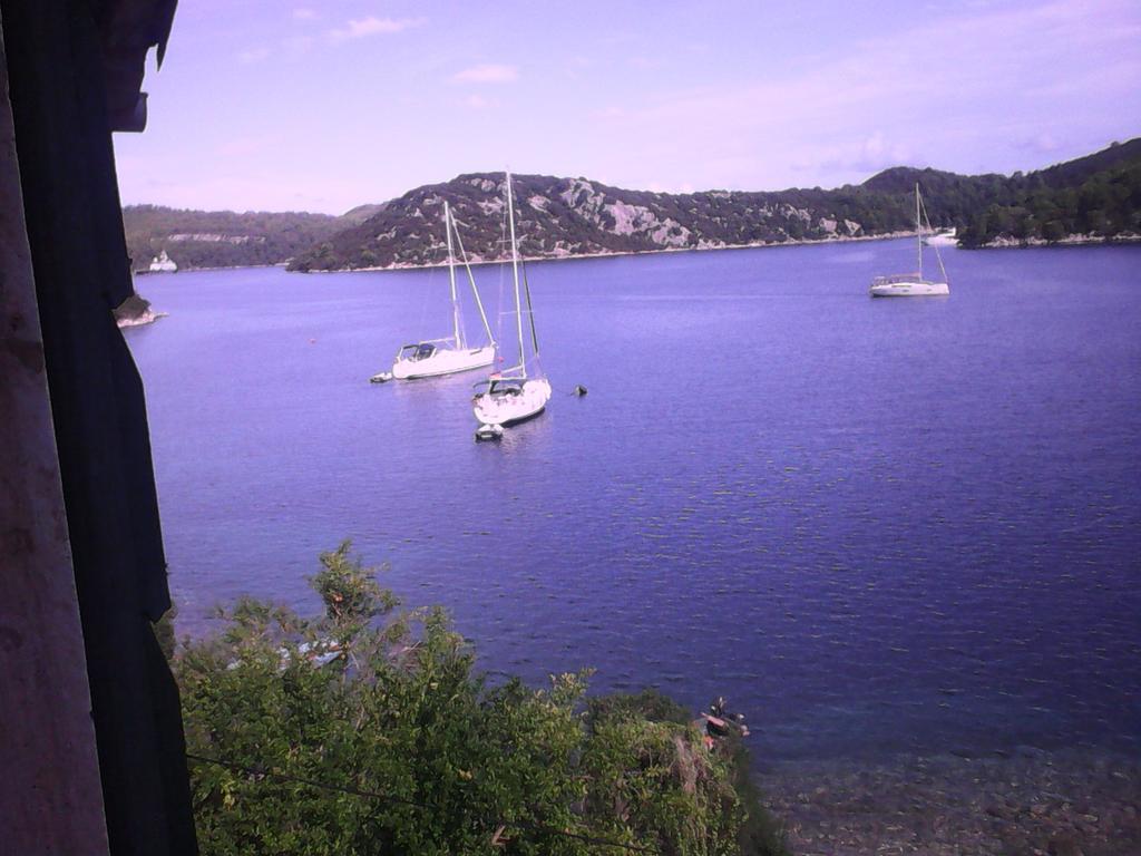 Apartment Dalmatinac Ivo Polače Εξωτερικό φωτογραφία