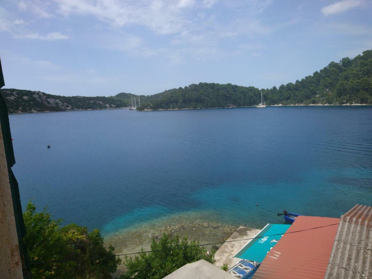 Apartment Dalmatinac Ivo Polače Εξωτερικό φωτογραφία