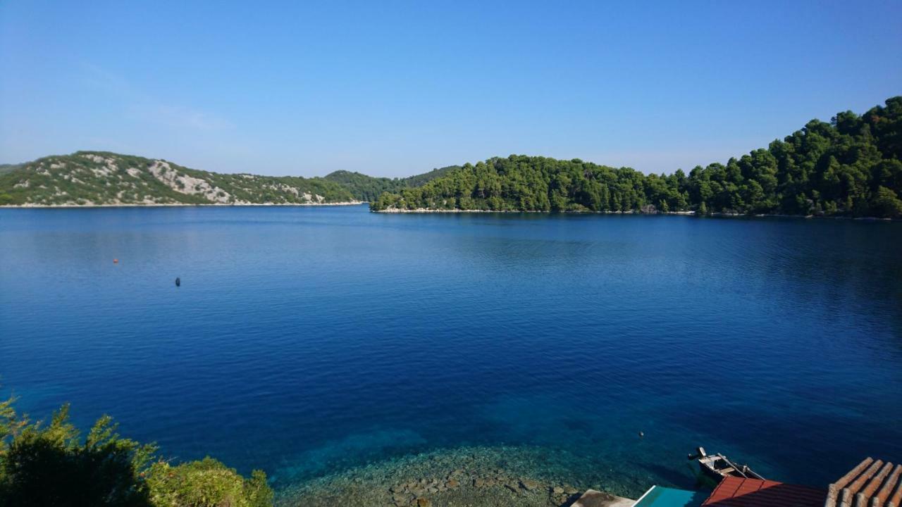Apartment Dalmatinac Ivo Polače Εξωτερικό φωτογραφία